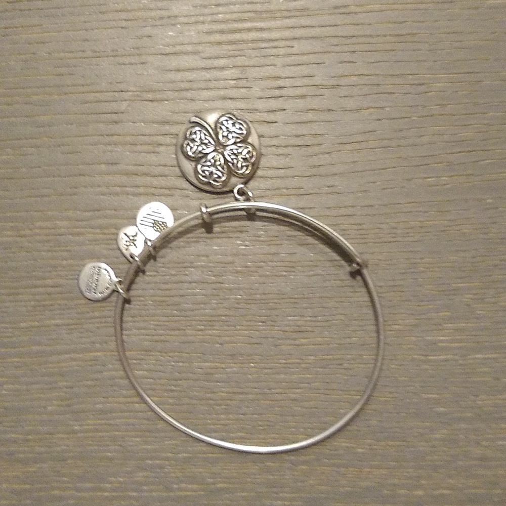Alex and Ani bracelet